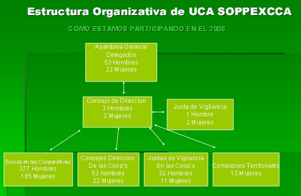 The participation of men and women in the organisation structures